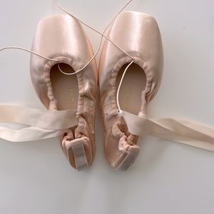 Virtisse Pointe Shoes (verve)